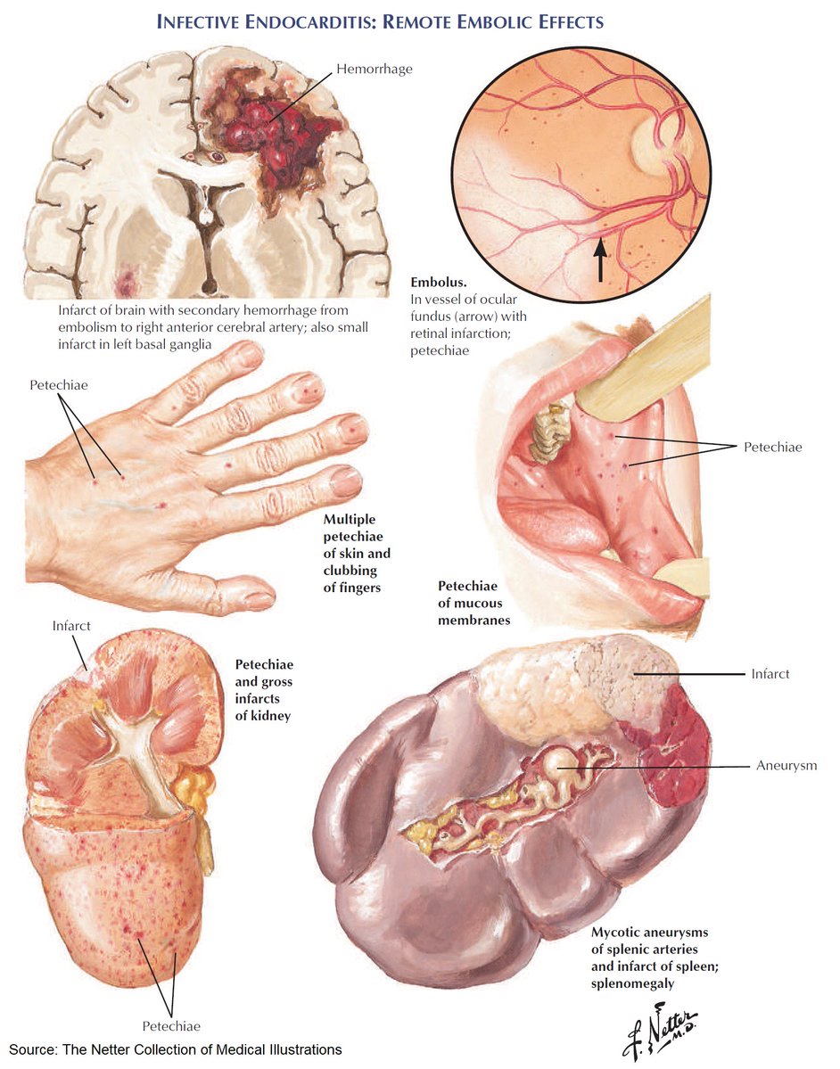 ManualOMedicine tweet picture