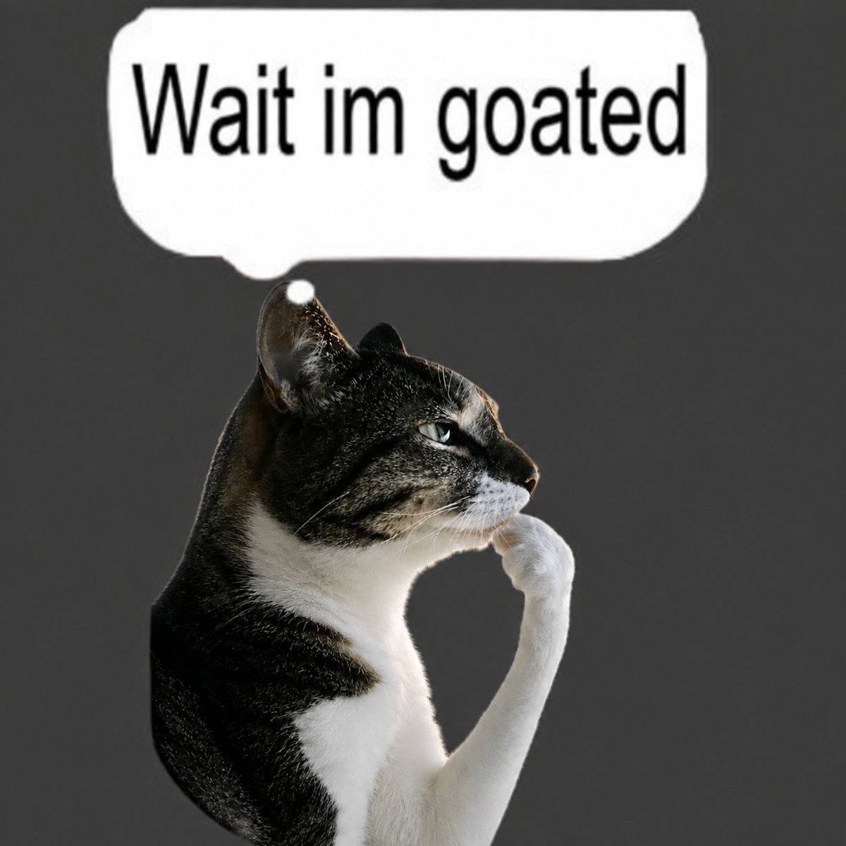 thinkingcatRH tweet picture