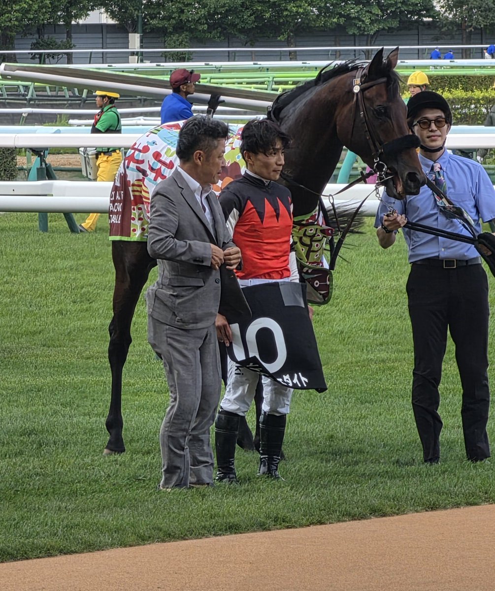 6PoCgb0GHghlRCe's tweet photo. 札幌11レース
ブラックジェダイト、かわいいおべべ着せて貰ったけど、強風で捲れちゃってました
それでもおとなしくしている偉い子でした https://t.co/6RlDfS8JGx