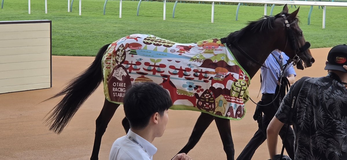 6PoCgb0GHghlRCe's tweet photo. 札幌11レース
ブラックジェダイト、かわいいおべべ着せて貰ったけど、強風で捲れちゃってました
それでもおとなしくしている偉い子でした https://t.co/6RlDfS8JGx