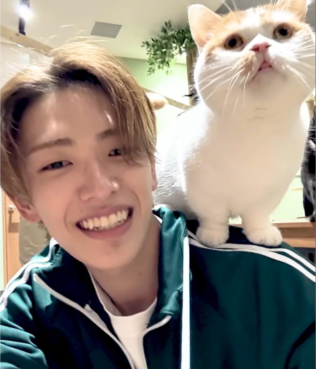 bamtizd's tweet photo. #世界猫の日　猫ちゃんとツーショット🐱🐵 https://t.co/A8saKnJKDI