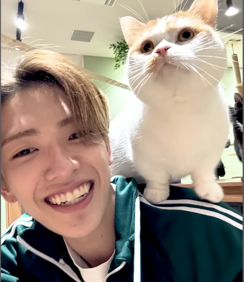 bamtizd's tweet photo. #世界猫の日　猫ちゃんとツーショット🐱🐵 https://t.co/A8saKnJKDI