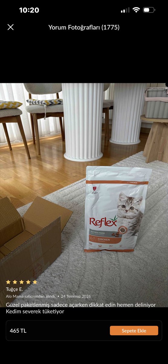 berfingunes_'s tweet photo. Cins kedi almış, evin dekorasyonu ve ortama bakınca maddi durumu kötüye benzemiyor. Ama evindeki kedisine bu mamayı layık görmüş, kediler için aşırı toksik ölümcül bitkisinin salonun ortasında durması da cabası. Bazı insanların gerçekten aklı yok https://t.co/pXT1TM34eF