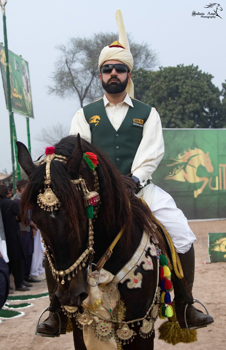 SultanNezaBaziT's tweet photo. Sahibzada Sultan Bahadar Aziz at Sultan Nezabazi Tournament.
.
.
. 
#SultanNezaBaziTournament #sports #NezaBazi #equestrian #tentpegging #horses #horseloverforever #beauty #culture #Pakistan https://t.co/VNKgVJJdXD