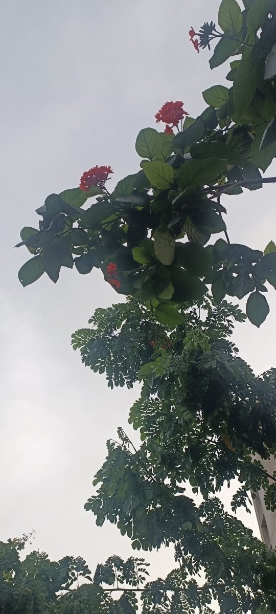 Piyush__BIT's tweet photo. अपनत्व का कोई रूप नही होता 
जब किसी की अनुभूति स्वंय से भी 
अधिक अच्छी लगे
वही  अपनत्व  है..!

शुभ दोपहर.. 💫🌸🕊️☘️ https://t.co/iVRmDND9Af