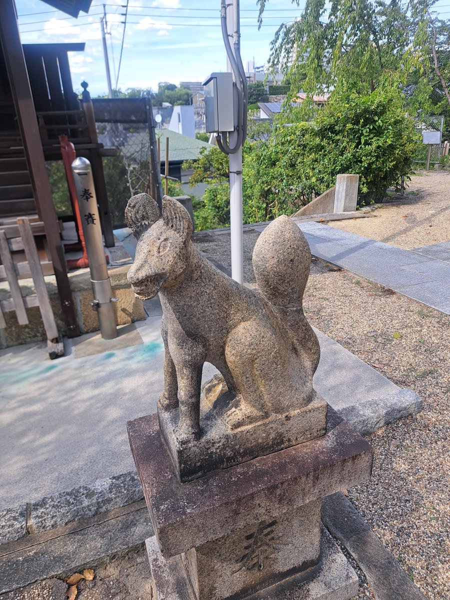 hamapis's tweet photo. 落語「天神山」ゆかりの地へ

一心寺さんで墓見をし、安居の天神さんに嬶を頼む。
裏手に回ろうとしたら狐がおったので、狐にも嬶を頼んでおきました🦊

またまた豊中市の劇団の脚本を書かせていただく機会をいただき、今回は「天神山」をお芝居にして脚色を。

夢か現か幻か…テーマは多様性！👻🦊 https://t.co/aDIE2lvnnU