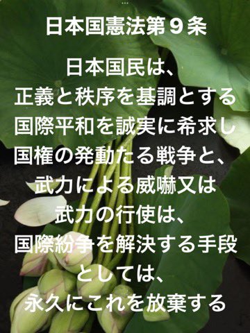 smEMkxiKSng7s9I's tweet photo. 💢日本を再び軍事国家にするな💢

#改憲派の皆さんだけで最前線へ

@kantei https://t.co/rVKphqi0lw