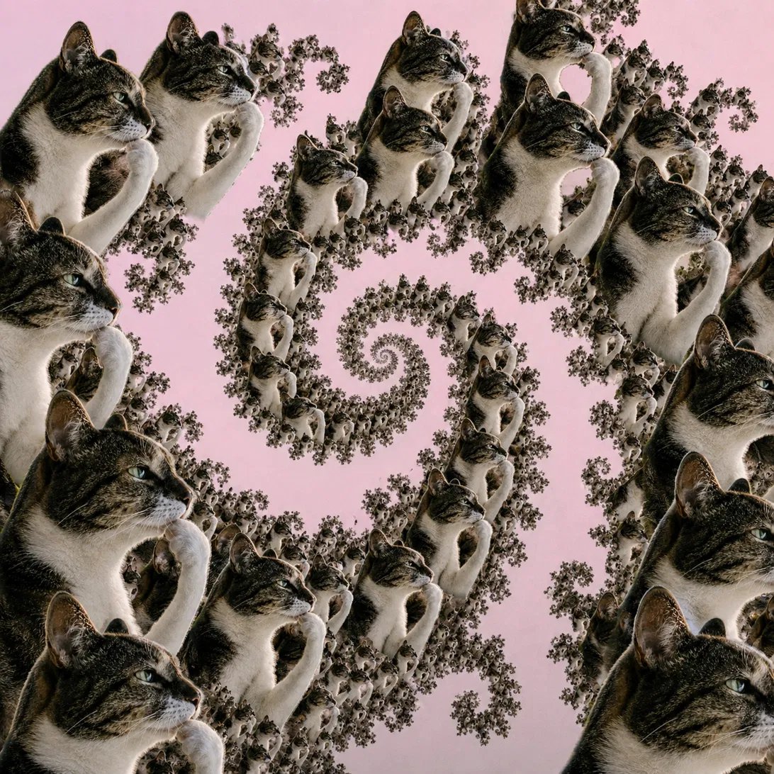 thinkingcatRH tweet picture
