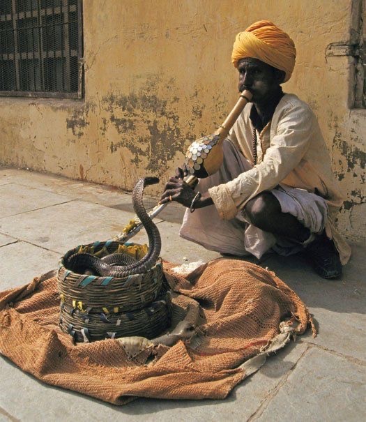 _Wordsforyou11's tweet photo. When you grab the head of a snake, the rest is mere rope.

— African Proverb https://t.co/qMzAV5JkJi