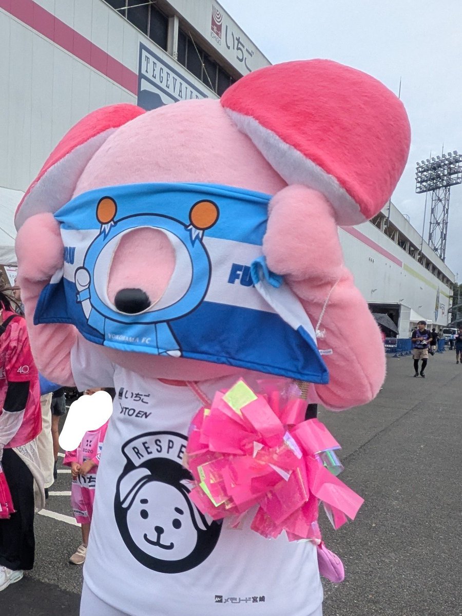 do1re2mi3's tweet photo. ジャーロくん、なかなか正しい使い方ができません( ･᷄ㅂ･᷅ )
#フリエサポ宮崎遠征
#ジャーロくん 
#フリ丸顔出しタオル https://t.co/mzKkLH031Y