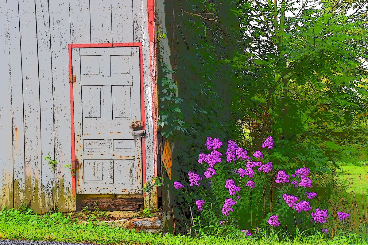 RuslakWalter's tweet photo. @DailyPicTheme2 Roadside #violet https://t.co/o8nu6wI6Vi