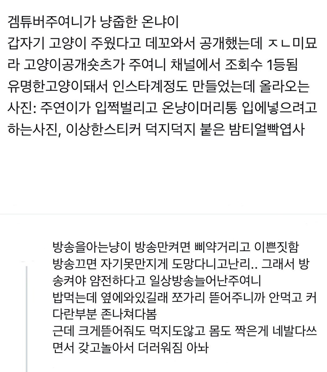 1004bakiee's tweet photo. 쮸온  온냐이키우기 https://t.co/vebHB7X6Gd