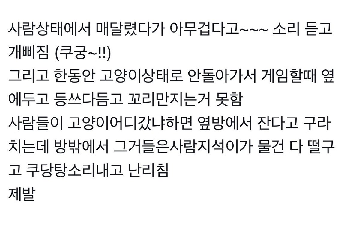 1004bakiee's tweet photo. 쮸온  온냐이키우기 https://t.co/vebHB7X6Gd
