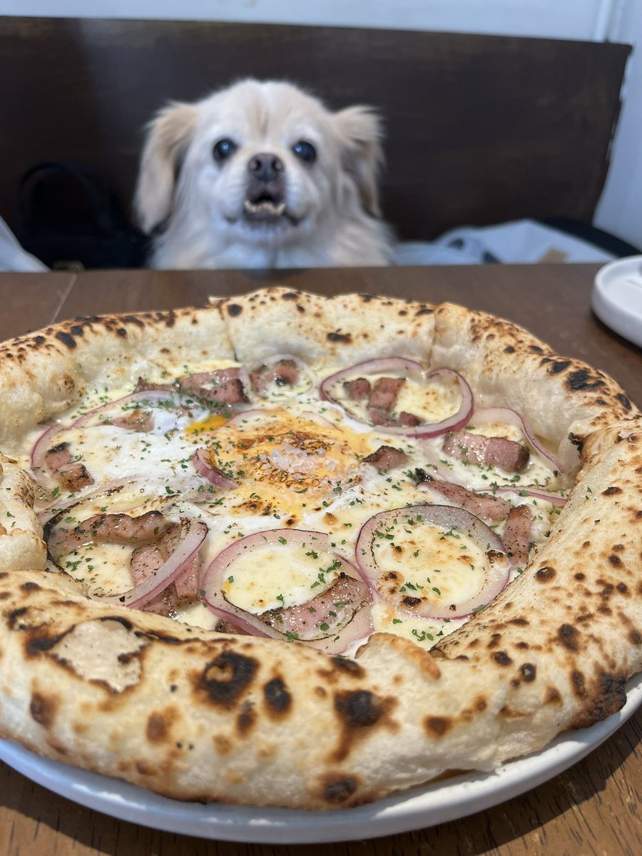 suggest_master's tweet photo. ペット同伴可のイタリアンKenny'sへ🍕
ラザニアのソースと生地が美味い💡
お客さんはファランばっかり

次はマルゲリータでも頼んでみようかな https://t.co/ELgTBCEKyO