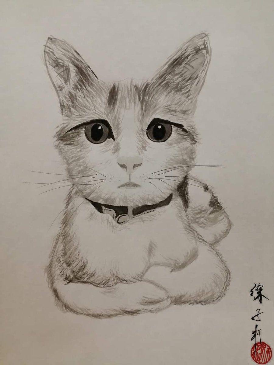 tabris1018's tweet photo. 再揭2.
#世界猫の日 https://t.co/7MF7o1U9wr