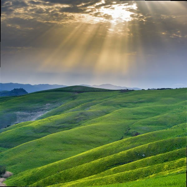 anonymiteter's tweet photo. Make hay while the sun shines.🧩😽🤲
寿司瞬间 🌝 https://t.co/YiRfj63zIT