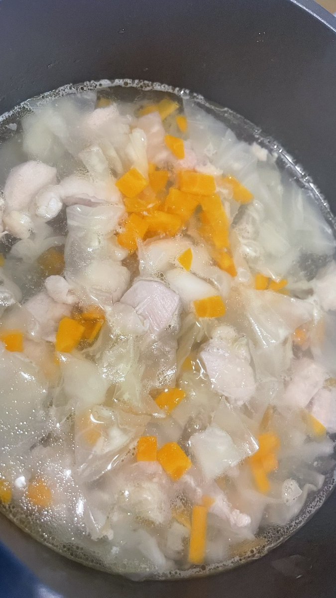 1012Kuro's tweet photo. 自分のご飯より
犬のご飯の方がちゃんと作る謎

今日は、鶏肉(モモ肉)、キャベツ(柔らかい所)、人参をじっくり1時間煮てます。 https://t.co/wffRaWOCR5