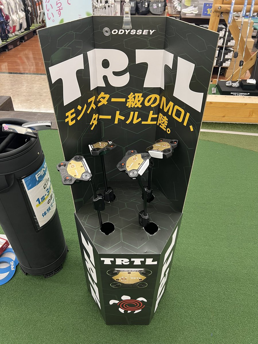 martybear44's tweet photo. わしゃ亀🐢より蜘蛛🕷️が合いそうじゃ https://t.co/1bP4tuC7fi
