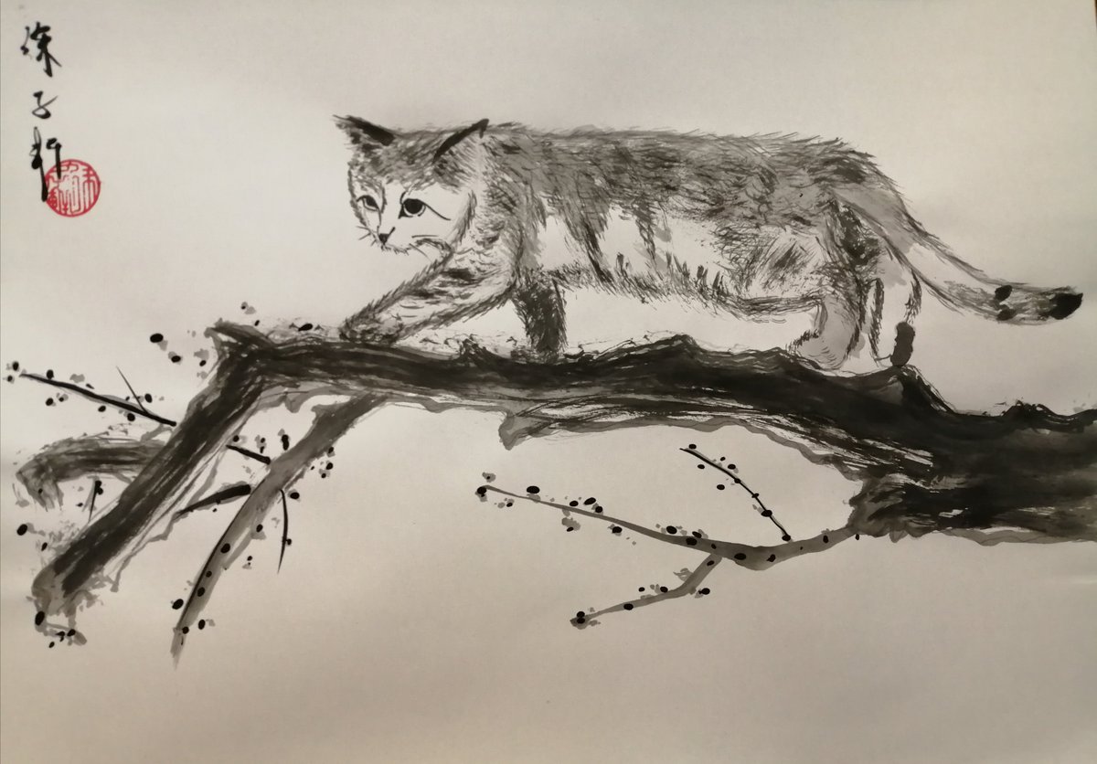 tabris1018's tweet photo. 再揭3.
#世界猫の日 https://t.co/1B6GDvs9JD