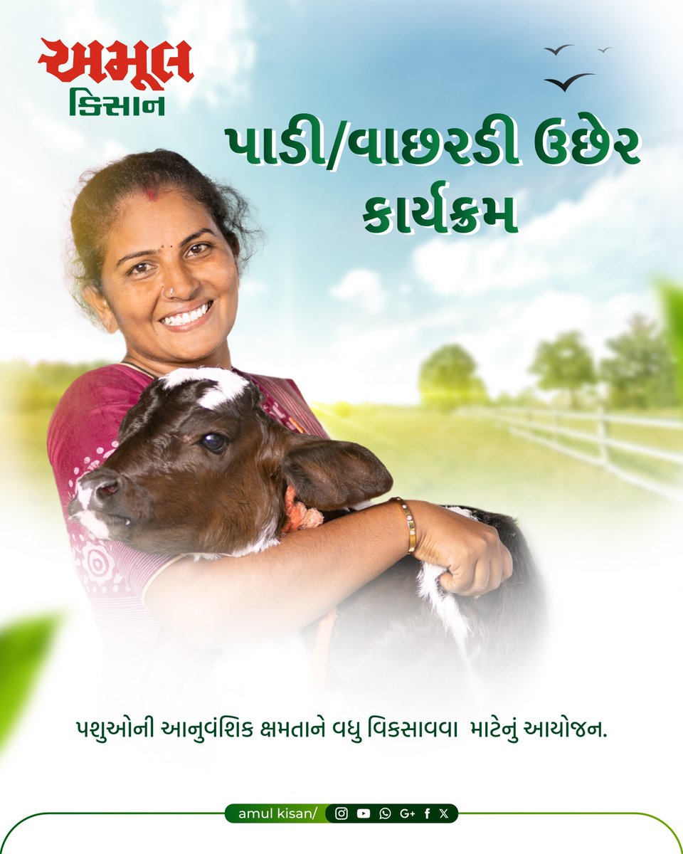 Amul_Kisan's tweet photo. મજબૂત પશુધનની શરૂઆત થાય છે યોગ્ય ઉછેરથી.
અમૂલ કિ���ાન સાથે વધારીએ પશુઓની આનુવંશિક ક્ષમતા અને ખેડૂતની સમૃદ્ધિ.

વધુ માહિતી માટે અમૂલ કિસાનના સોશિયલ મીડિયા પેજને ફૉલો કરો.

#AmulKisan #AnimalHusbandry #DairyFarming #FutureReady https://t.co/k3iLh0efCB