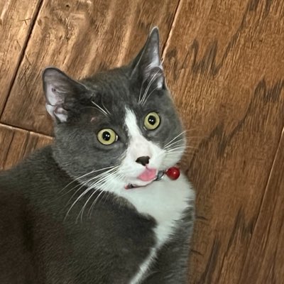 DipperDoodleBop's tweet photo. #NewProfilePic https://t.co/ahjUE9qI6Q