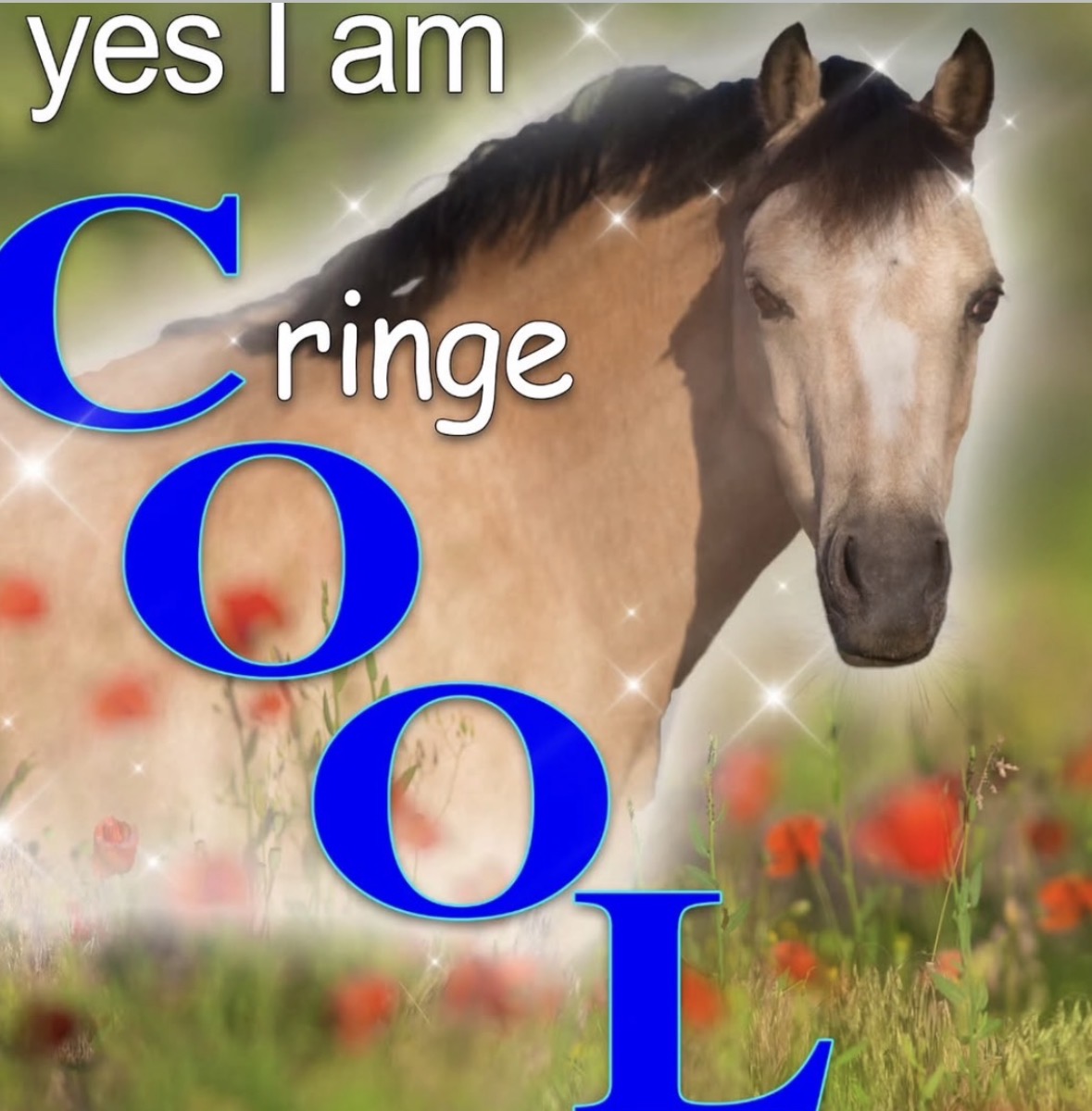 RespectfulMemes's tweet photo. https://t.co/pUulgXVhun