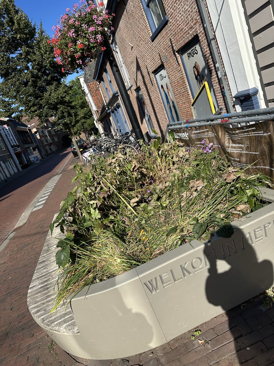 geransmeppel's tweet photo. @GemeenteMeppel gaat er nog wat met de plantenbakken gebeuren want het ziet er niet uit zo 🫣 https://t.co/trX1Jztd4u