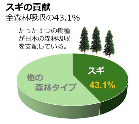 biodiversity_ON's tweet photo. 「従来推定されていたよりも1・7～2・2倍のCO2を日本の森林は吸収しています」東京大農学部熊谷教授
そして、先人たちが植えたスギがいかに貢献しているか。

日本の森林の２割弱を占めるスギが
約４割の吸収量を占めている https://t.co/G4V8DhXOpr