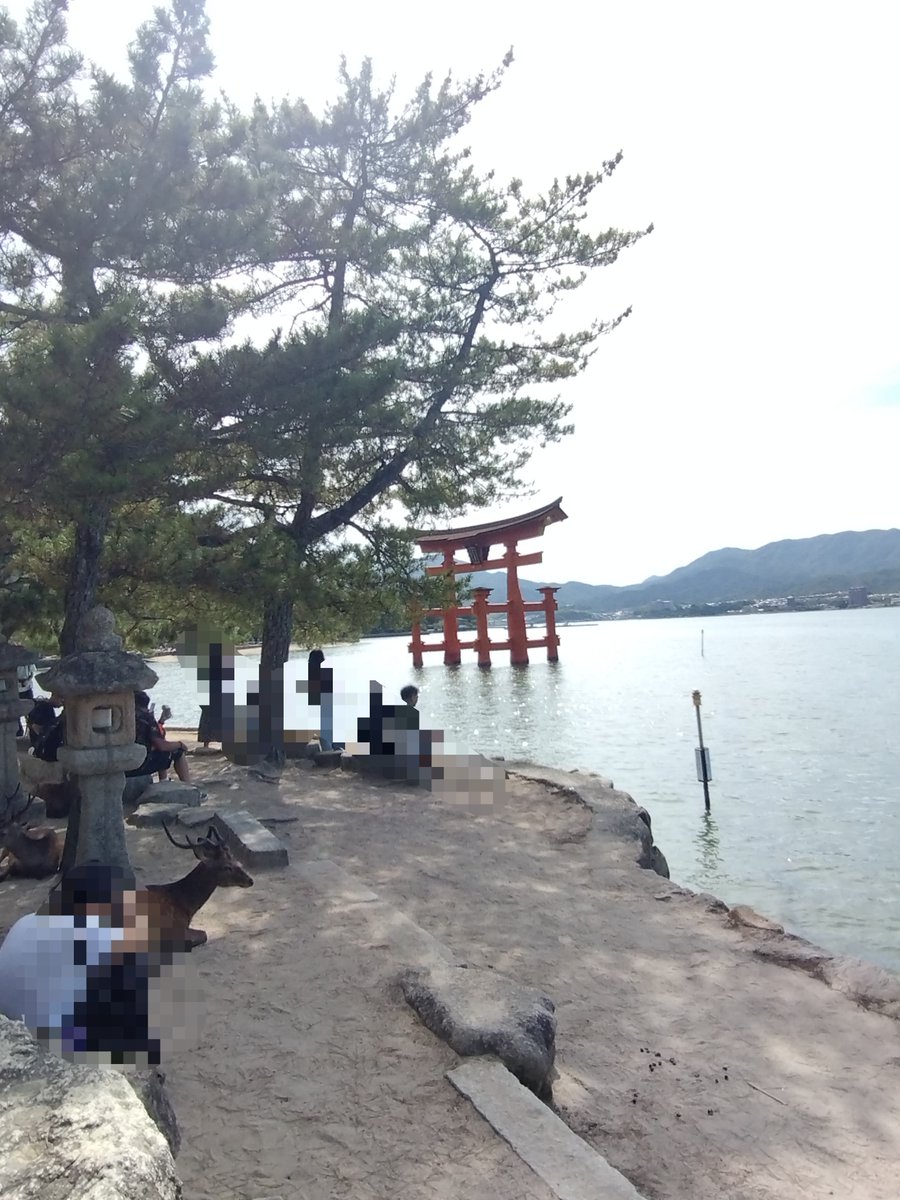longlongago113's tweet photo. お姉さん宮島の鹿さんにレモネード食べられてた💦 https://t.co/XYaNrBarsT