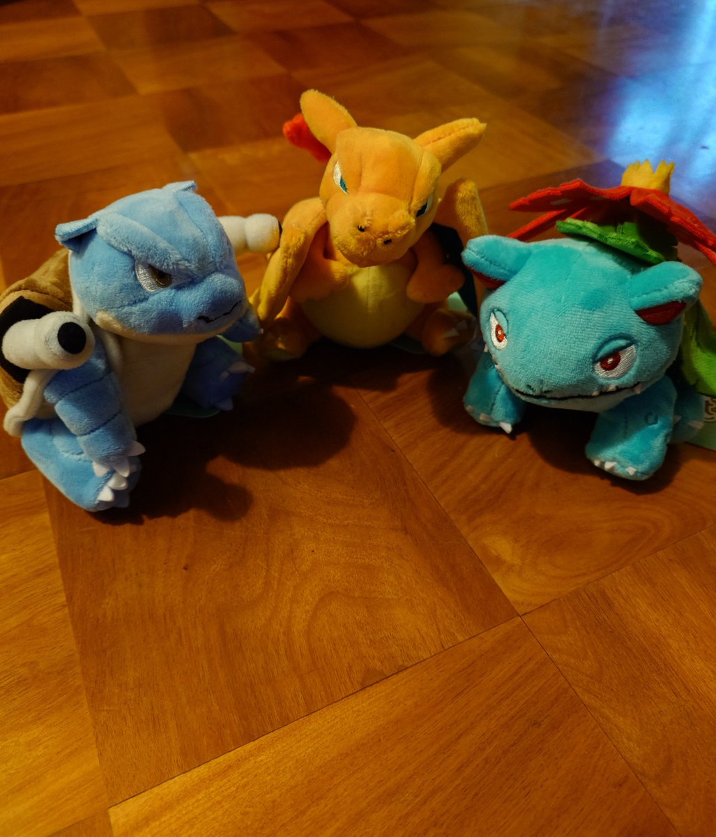 finalheavengooo's tweet photo. 誕生日にポケモンセンターで買ってきたポケモンフィットまじかわいい。やっぱ初代御三家なのよね https://t.co/yiTrxFMxYU