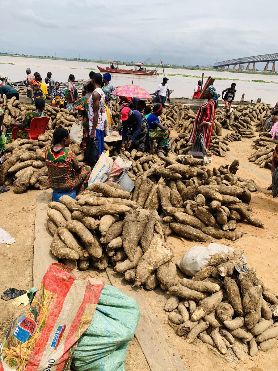 IgboHistoFacts's tweet photo. This is what yam trading by the River Niger looks like. https://t.co/iX96q2Q2bx