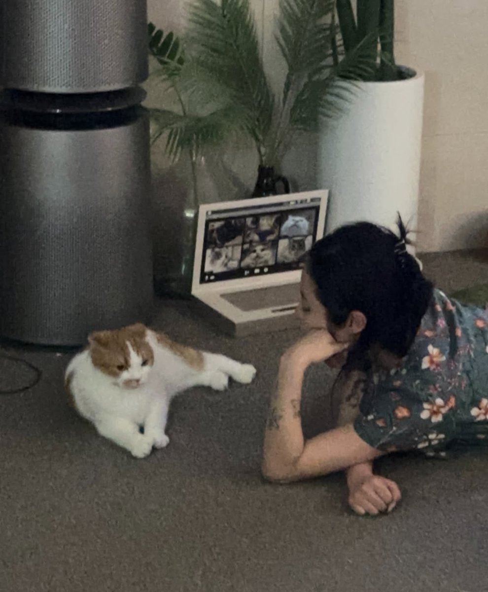 muwiou's tweet photo. 아 느낌개돟네.. https://t.co/BfNVkBNglH