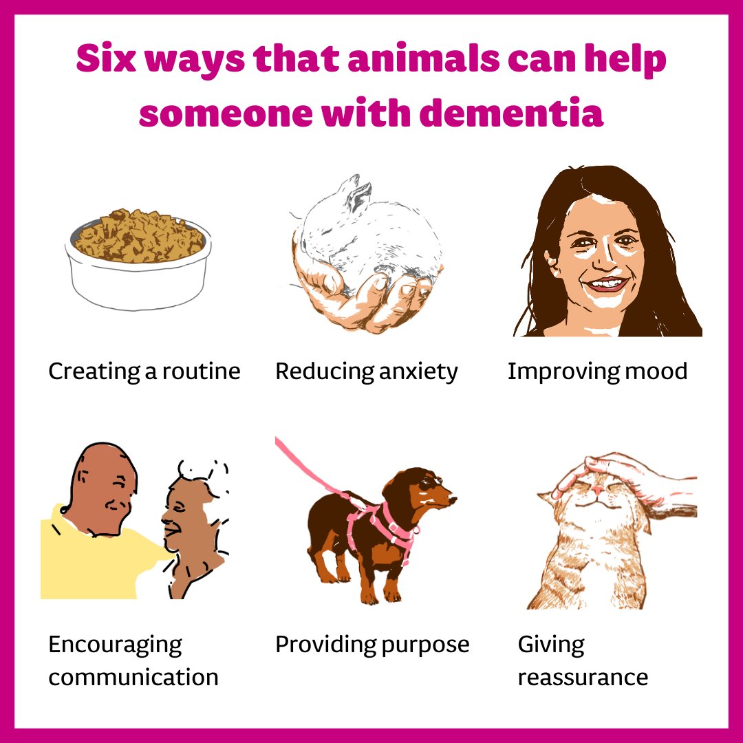 DementiaUK's tweet photo. Animals can bring joy, companionship and comfort. 🐾

But did you know they can also support people living with #dementia? 

Today, on #InternationalCatDay, we're sharing six ways animals can help someone with dementia. 💙 https://t.co/ysyw6VeCzw