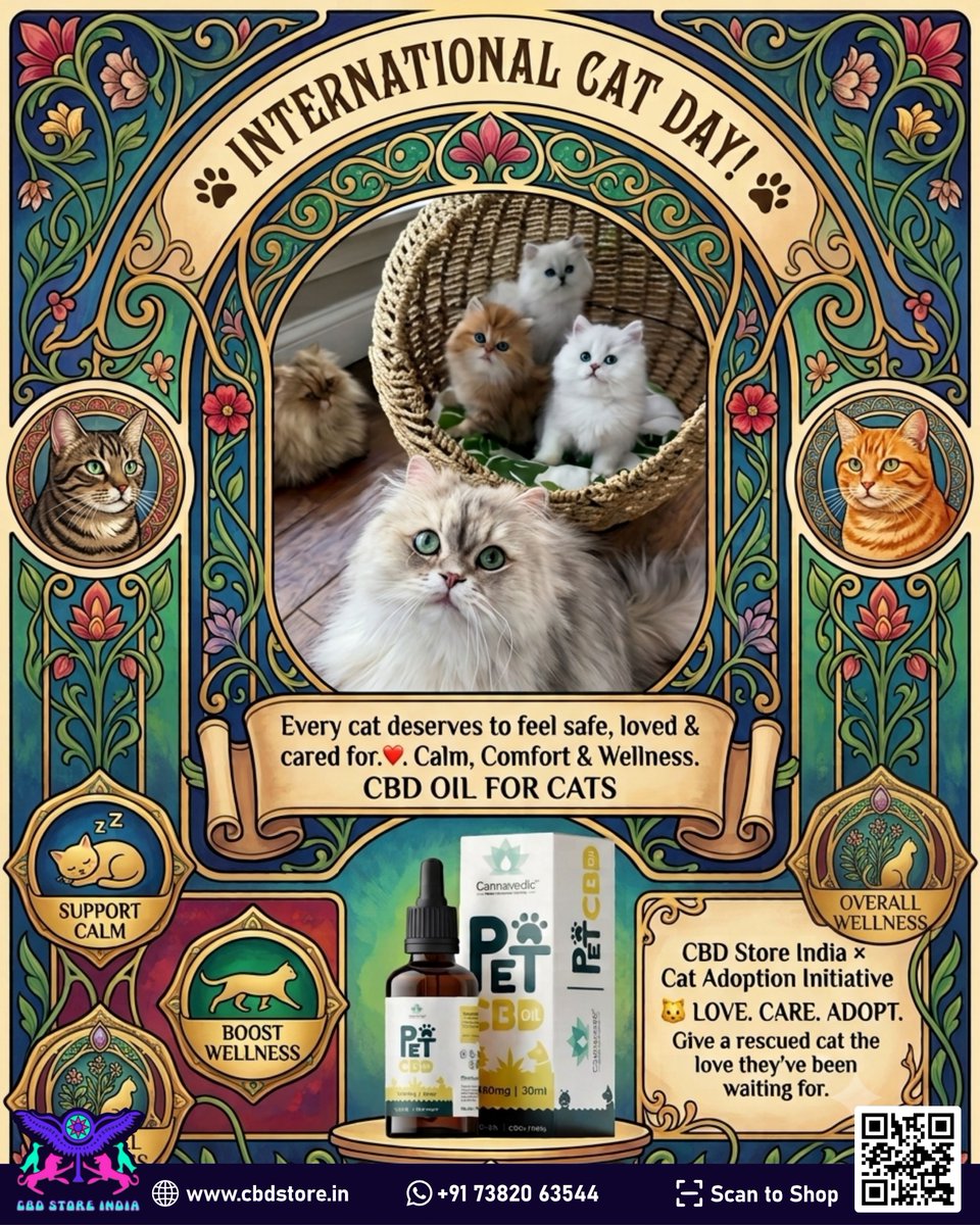 CBDStoreIndia1's tweet photo. Every rescued cat deserves more than shelter—they deserve a loving forever home. This International Cat Day, give a rescued cat a second chance at love, trust, and family.

Explore CBD Oil for Cats Collection: https://t.co/vlyK380akK

#InternationalCatDay #CBDForCats #PetLove https://t.co/fDTMpc280K