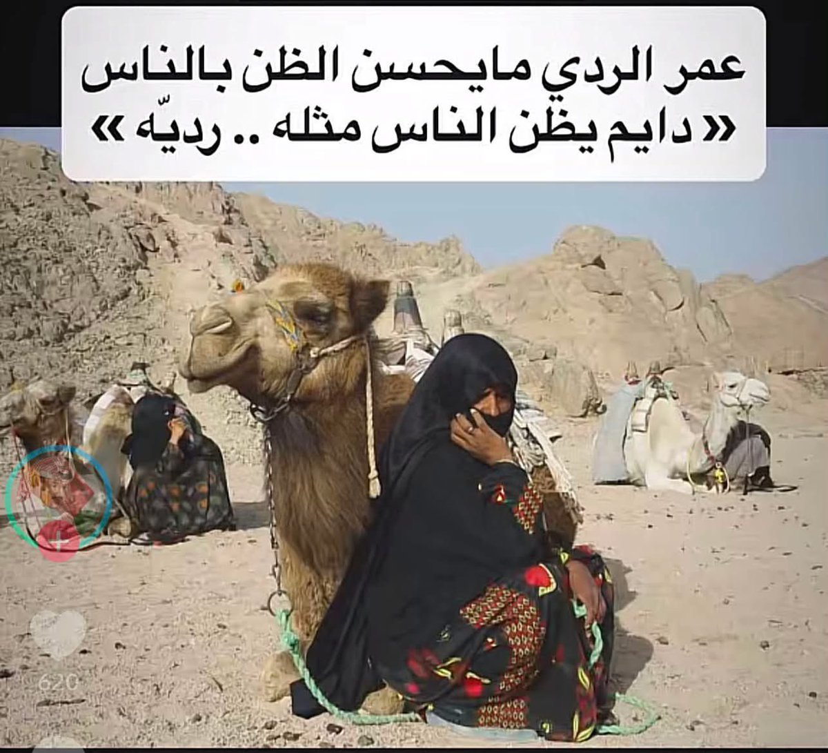 saeedya tweet picture