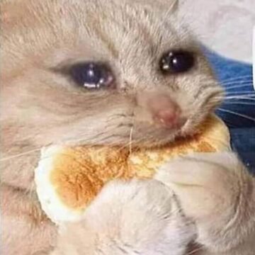 fushicano's tweet photo. jimin yueun i miss you guys. im not even kidding https://t.co/xU7EAnhAeQ