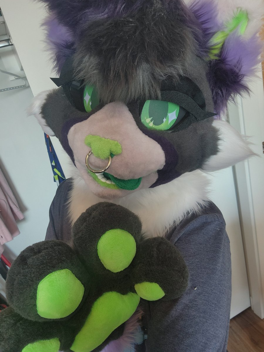 Fever_dreamless's tweet photo. Hopefully i can get some better pictures later today but the partial suits I'll be selling tomorrow at ToS look so gooood 🐶🐾
#Furry #fursuit #furryart #fursuitmaker https://t.co/ZsBnnISQHt