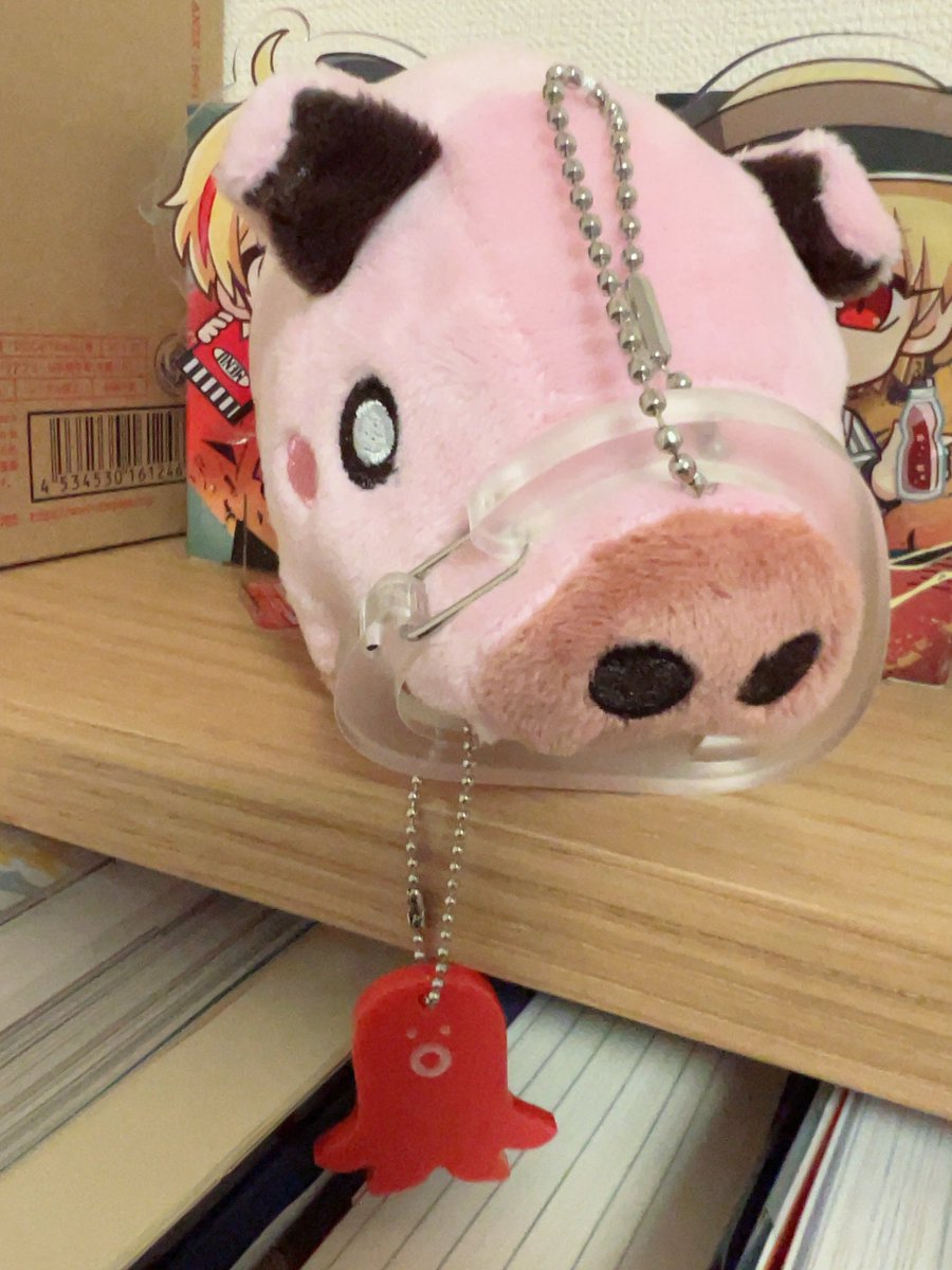 mikkaizenya's tweet photo. おにぎりカラビナをみつけたのでしばらくミニピグ伊はこれで。
ぶひぶひうるさかったら猿轡にもできる（するな） https://t.co/2zKr2Qkk48