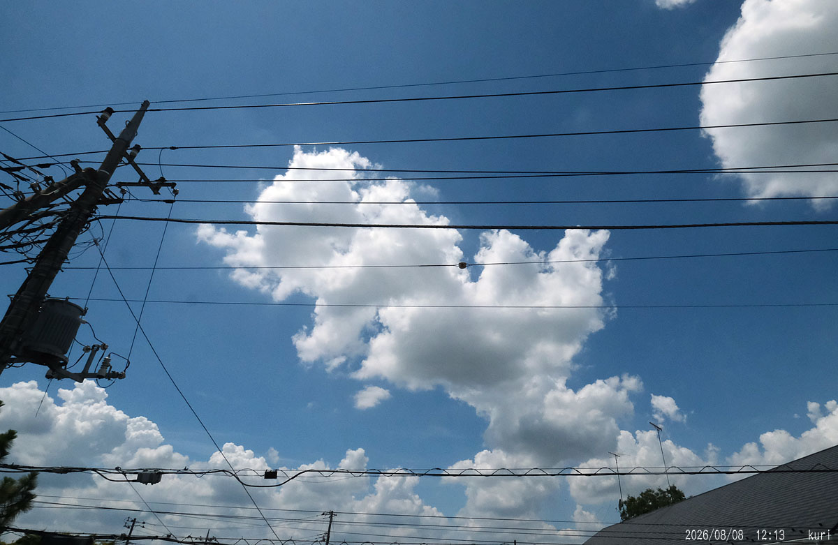 k_otukimi's tweet photo. 連投します。
8日未明は雲が多く、隙間から辛うじて良いのが1ショット、94フレームから処理。
後は雲越しでイマイチ、明け方には見えなくなってしまいました。
20260808未明 月齢24.32

昼間は晴れたけど白雲モクモクで見えず

#月 #moon #月の満ち欠け #お月様 #お月さま #同じ月を見ている #MoonHour https://t.co/nfPydPzWfp
