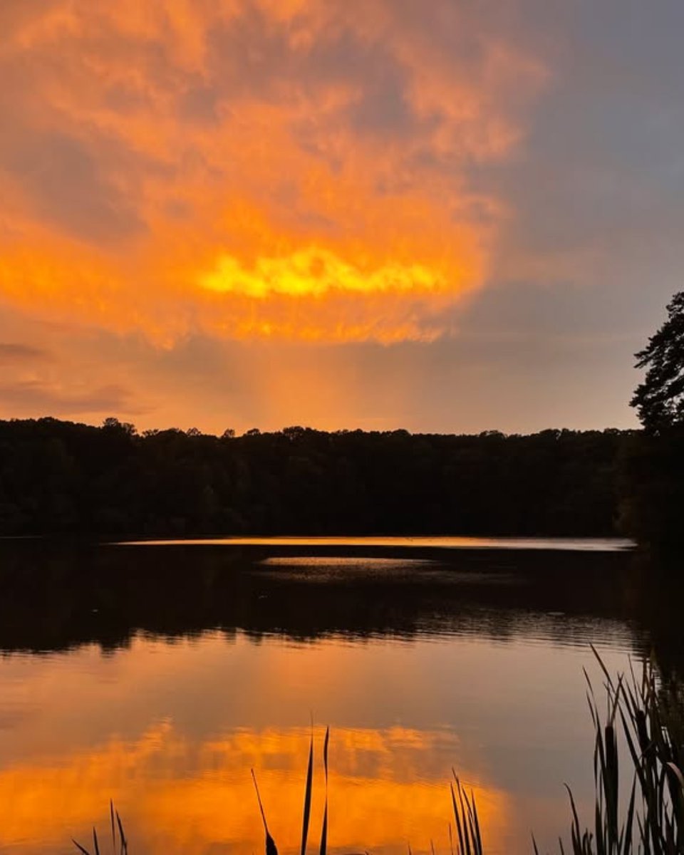 WakeGovParks's tweet photo. There was a gorgeous summer sunset the other night over the millpond at Historic #YatesMill County Park.
#SummerSunset #SunsetPhotography #OutdoorViews #ScenicSunset https://t.co/G1Aummhn4S