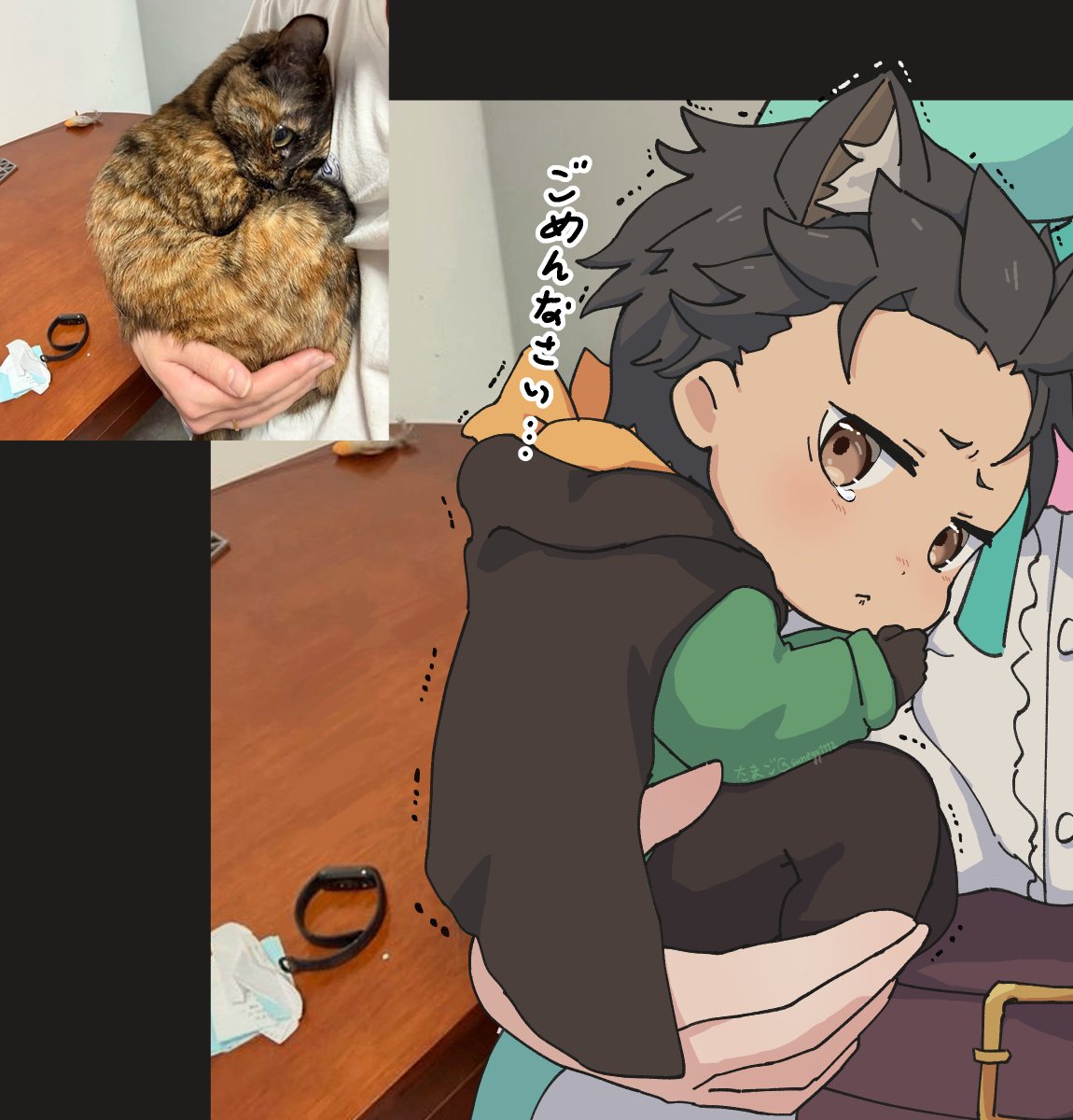 sunegg1112's tweet photo. 再 
#世界猫の日
#リゼロ #rezero https://t.co/OhKQfubEaj