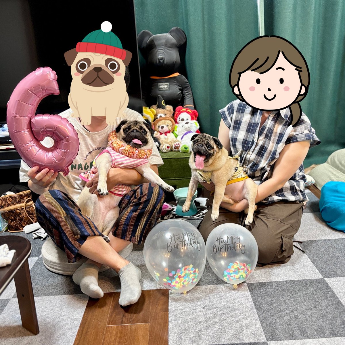 2020_pug_tsune's tweet photo. たのしいおたんじょうびかいだっただなぁ。
カーッ！

#パグ  #pug https://t.co/Eh7Cu7NnRB