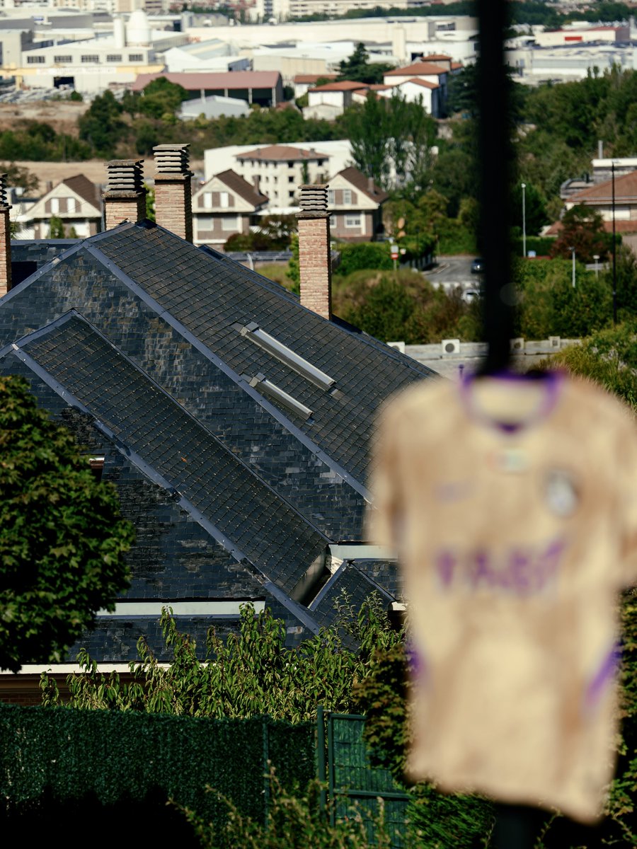 alainfcae's tweet photo. 𝚃𝚑𝚎 𝙶𝚘𝚕𝚍𝚎𝚗 𝙱𝚘𝚜𝚜 𝚒𝚗 𝙿𝚊𝚖𝚙𝚕𝚘𝚗𝚊 🌟💜 https://t.co/vyKNn0VkSs
