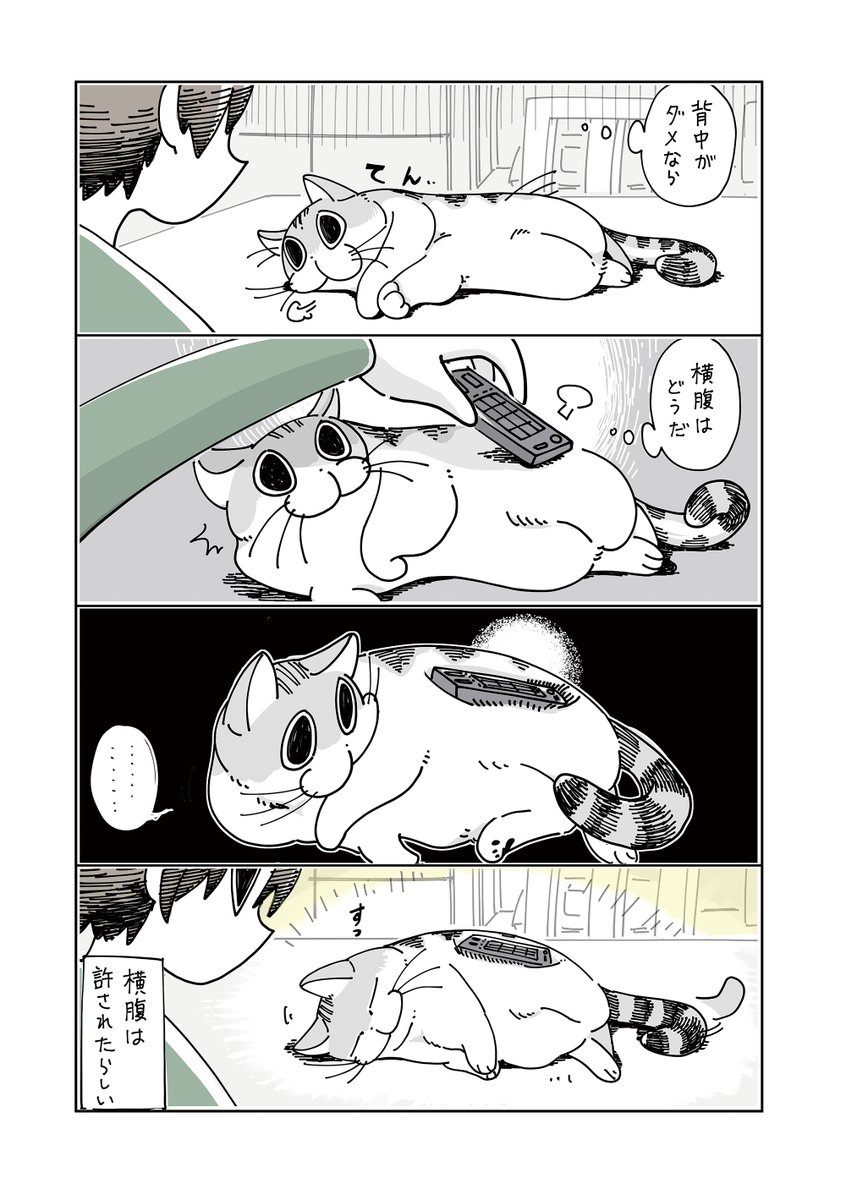 kyuryuZ's tweet photo. 「夜は猫といっしょ」まとめ(4/6) https://t.co/uhbhCXvgbL