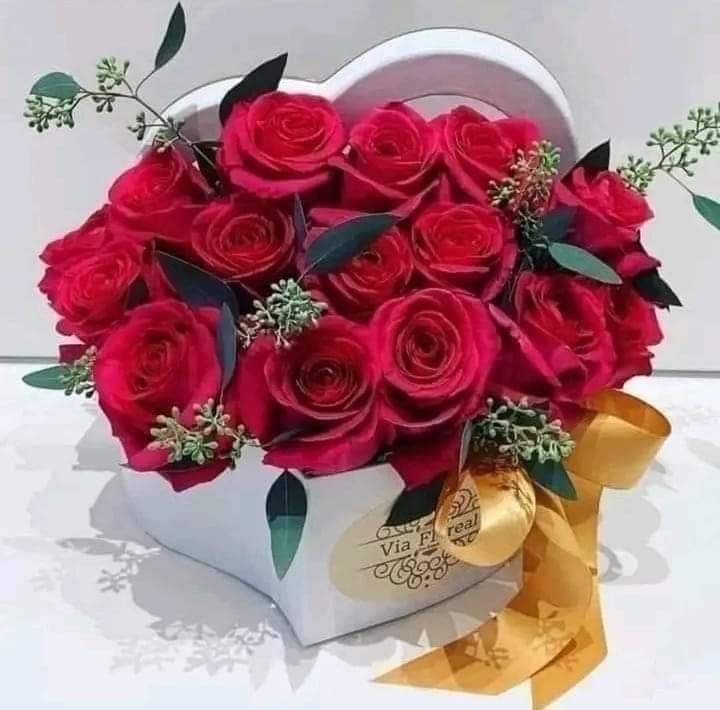 _1cma's tweet photo. ✦⇣✵

.
❁
.

روحي وروحك 
يالغلا ضمها الشوق
في روح واحد 
بالهوى ضم روحين
من يوصف العاشق
إذا صار معشوق
هي قمة الأشواق  
بين المحبين.

 🎻

💞 #جذابة 💞 https://t.co/z4gO1rTYud