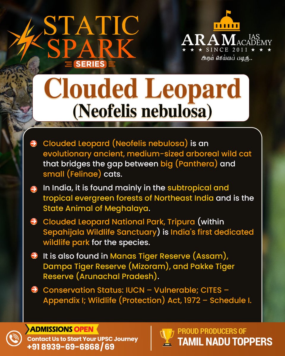 aramias_academy's tweet photo. Clouded Leopard (Neofelis nebulosa)
#CloudedLeopard #NeofelisNebulosa #WildlifeConservation #EndangeredSpecies #BigCats #WildCats #NatureLovers #Biodiversity #SaveWildlife #AnimalConservation #ForestLife #AsianWildlife #RareSpecies https://t.co/a63ta5kJoF