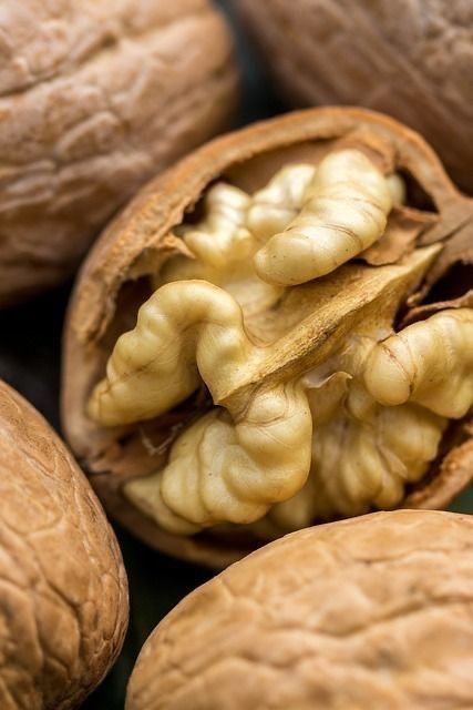 Sweet_nectar1's tweet photo. People keep guessing, but no one gets it right. Do you know what this is? https://t.co/Xk1OawG2ma