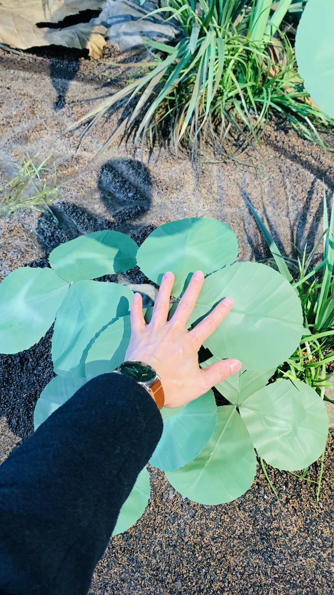 kamiy_web's tweet photo. 【借りぐらしのアリエッティ】を観て思ったこと☀️
人間って、なんでこの大きさなんだろう🤔？ https://t.co/ZCh5DOzSqg