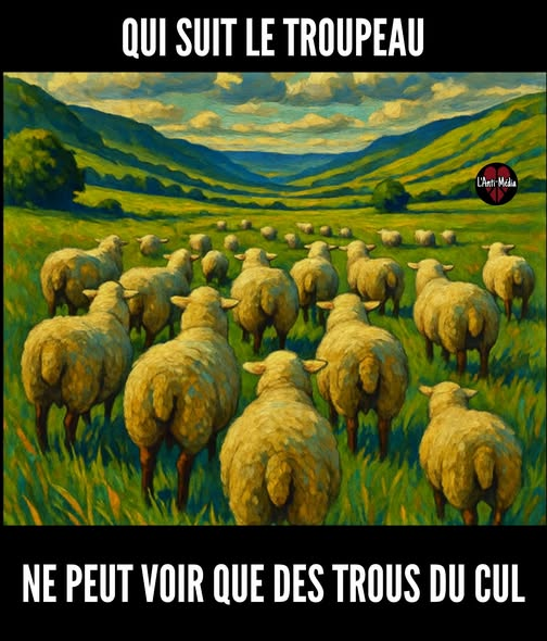 AdresanSoso's tweet photo. https://t.co/qJ1SLFgp7G