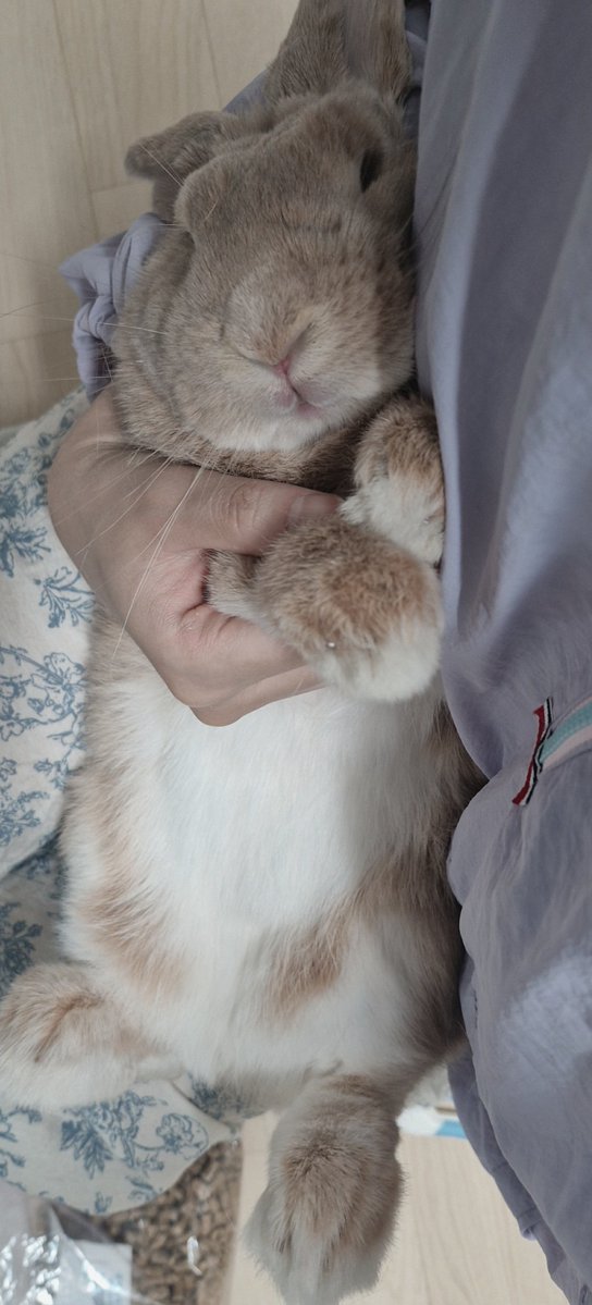 mm__rong's tweet photo. 발톱 깎고 배도 빗었어요 https://t.co/CwzV7NbDvI
